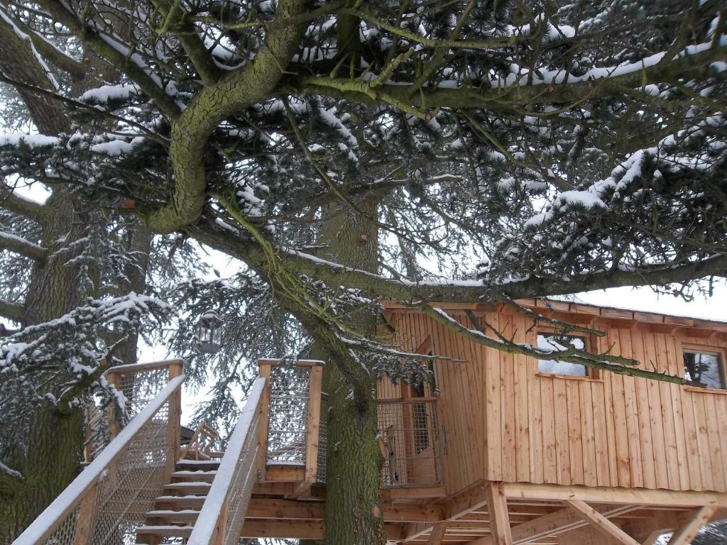Domaine Des Grands Cedres Bed & Breakfast Cordelle Room photo