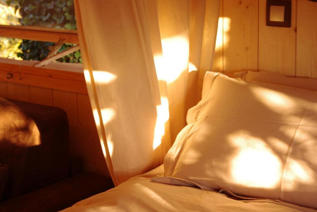 Domaine Des Grands Cedres Bed & Breakfast Cordelle Room photo