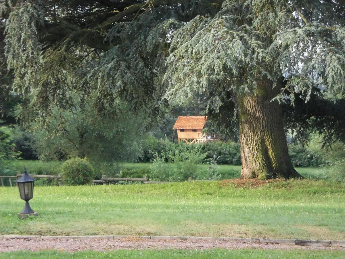 Domaine Des Grands Cedres Bed & Breakfast Cordelle Room photo
